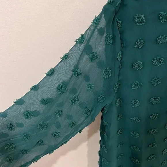 (5) NWOT Swiss dot sheer  long sleeve blouse - Picture 3 of 5